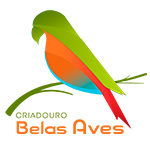 imagem_belas_aves_logotipo_criacao_comunicacao_personalizada_sauer_teles_solucoes_empresarial_mkt