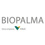 imagem_biopalma_logotipo_criacao_comunicacao_personalizada_sauer_teles_solucoes_empresarial_mkt